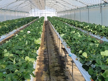 株式会社金内神命堂-top