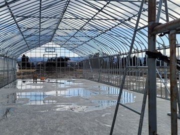 株式会社金内神命堂-2