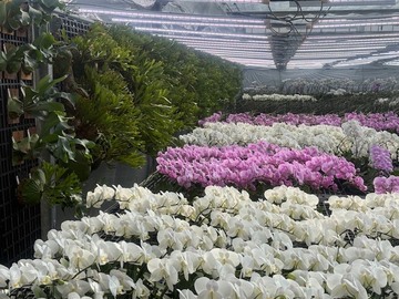 有限会社花匠-1