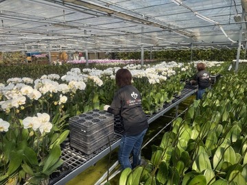 有限会社花匠-2