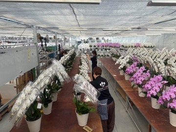 有限会社花匠-3