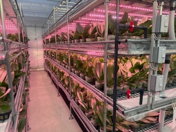 有限会社花匠-4