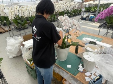 有限会社花匠-5