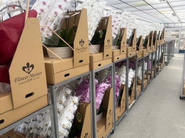 有限会社花匠-6