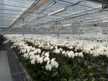 有限会社花匠-7