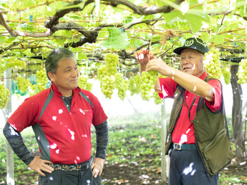有限会社マルサフルーツ古屋農園-1