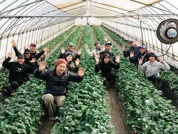 株式会社ふしちゃん-top