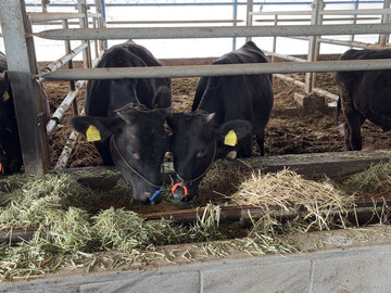 株式会社JAPAN長崎ファーム-4