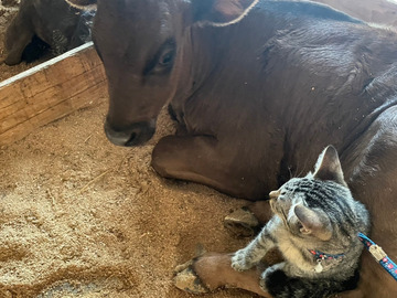 株式会社JAPAN長崎ファーム-top