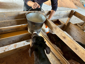 株式会社JAPAN長崎ファーム-2