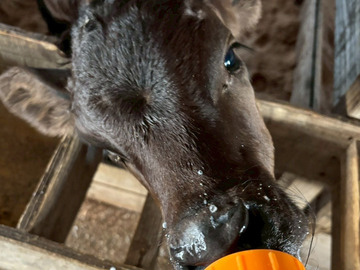 株式会社JAPAN長崎ファーム-5