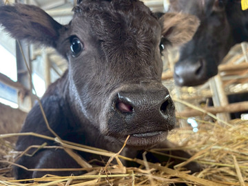 株式会社JAPAN長崎ファーム-8