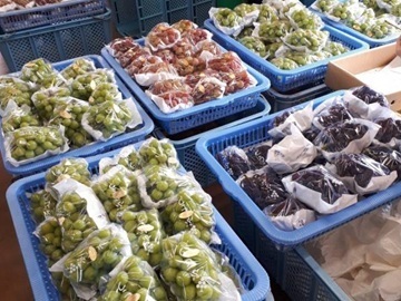 竹村農園株式会社-5