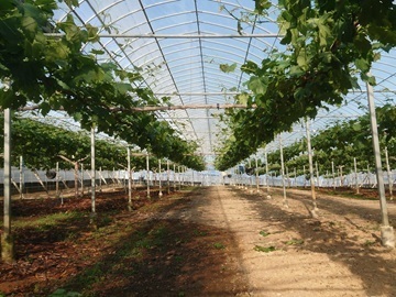 竹村農園株式会社-2