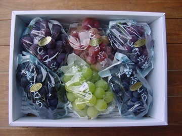 竹村農園株式会社-7