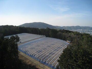 竹村農園株式会社-8