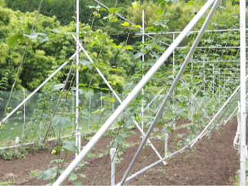 R FARM PROJECT/丸徳商事有限会社-5