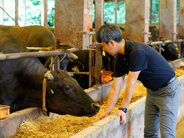 青森県七戸町×農場経理/法人【43229】-1