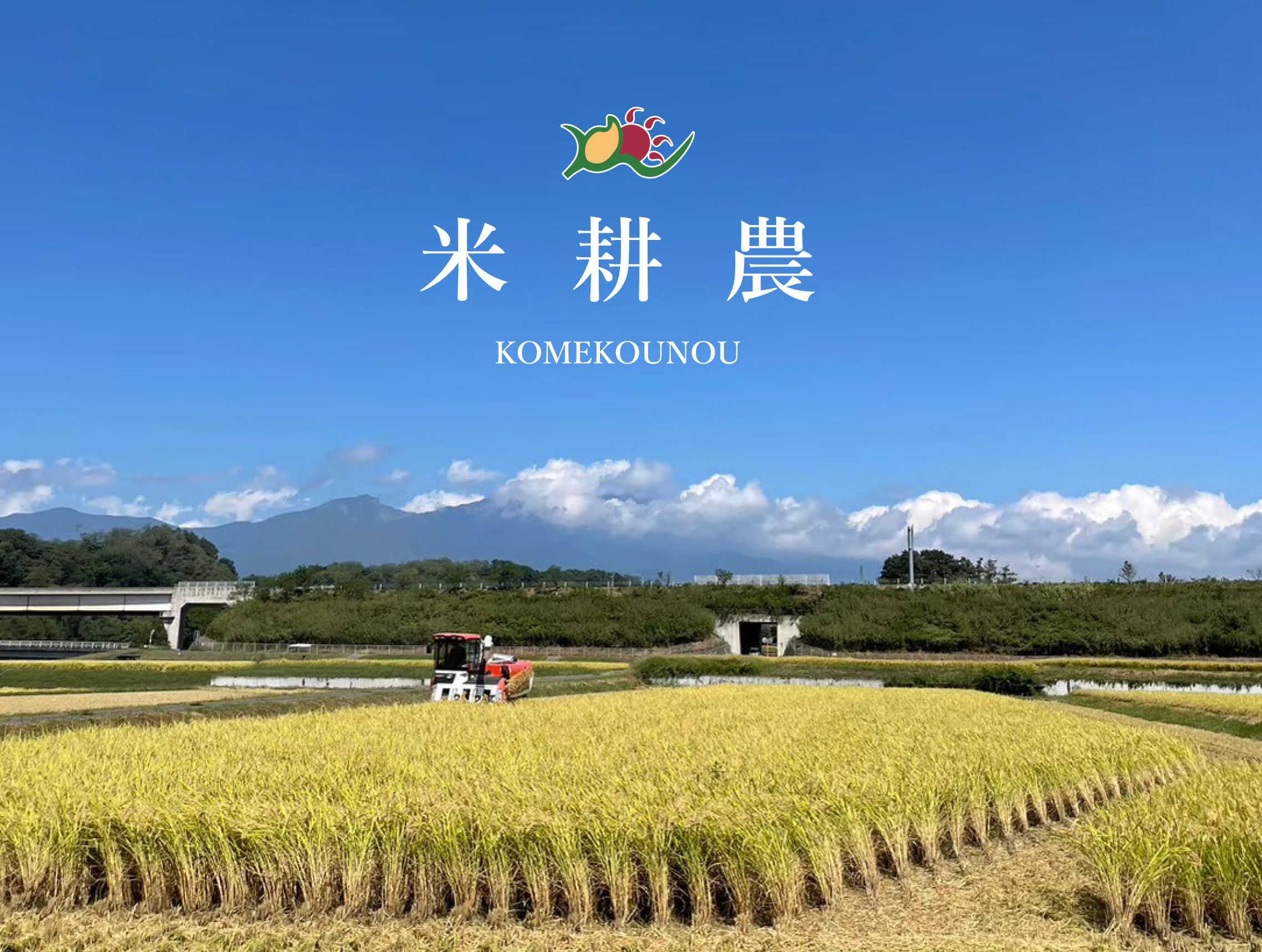 有限会社米耕農