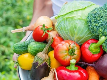 株式会社エポカフード-1