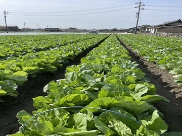 YUUKI FARM(玉文)-5