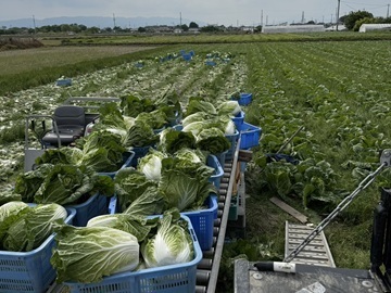 YUUKI FARM(玉文)-8