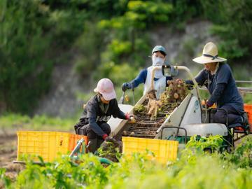 有限会社てんぽ印/地域協同組合無茶々園-3