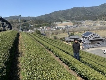 株式会社古京碾茶加工場-5