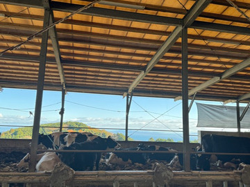 株式会社風の牧場-4