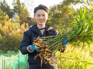 株式会社後藤製菓-top