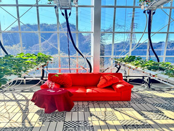 鎌倉山千葉農園株式会社-top