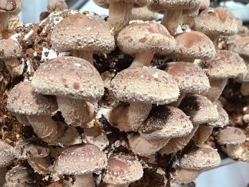 株式会社栄ガーデン-5