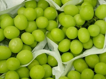 大果大阪青果株式会社-1