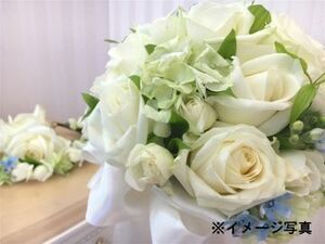 鹿児島県さつま町×花卉・施設野菜・種苗/法人【43244】-top