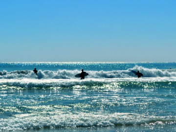 すこやかファーム湖西-7