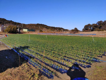 すこやかファーム湖西-3