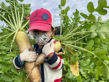 株式会社扶桑農産
