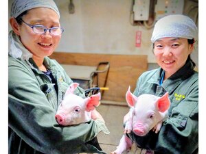 株式会社サイボク 鳩山牧場-top