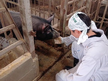 株式会社サイボク 鳩山牧場-7