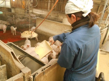 株式会社サイボク 鳩山牧場-4