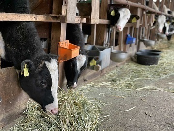 広島県庄原市×酪農/法人【36472】-top