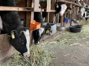 広島県庄原市×酪農/法人【36472】-top