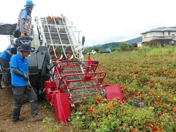 株式会社かまくらや-2