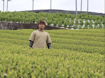 株式会社渡辺製茶-1