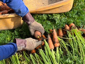 有限会社山新田青果-3