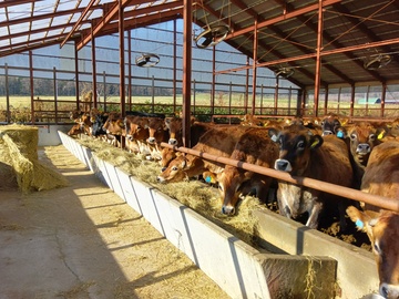 株式会社関谷牧場-2