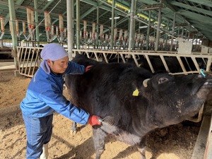 岐阜県高山市×肉牛/法人【43253】-top