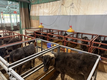 岐阜県高山市×肉牛/法人【43253】-1