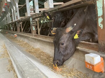 岐阜県高山市×肉牛/法人【43253】-6