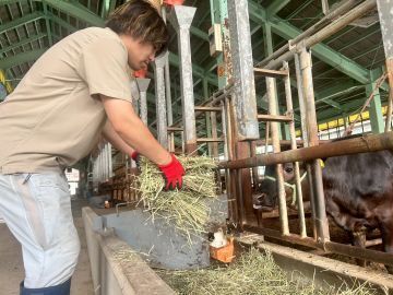 農事法人組合ハイランドファーム荘川-4